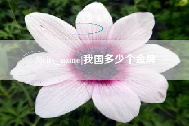 安岳我国多少个金牌