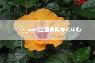 安岳全国消防考试中心