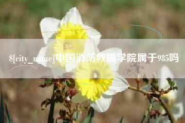 安岳中国消防救援学院属于985吗