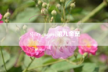 安岳第九金是
