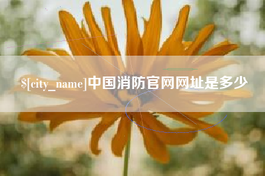 安岳中国消防官网网址是多少