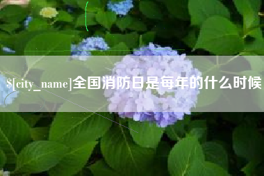 安岳全国消防日是每年的什么时候