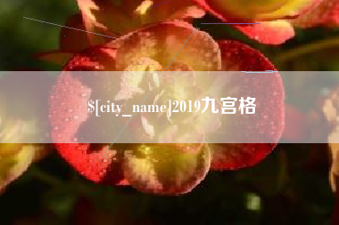 安岳2019九宫格