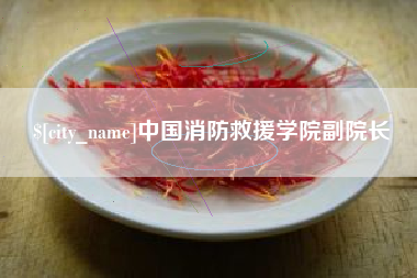 安岳中国消防救援学院副院长