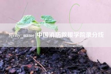安岳中国消防救援学院录分线