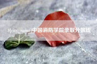 安岳中国消防学院录取分数线