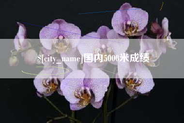 安岳国内5000米成绩