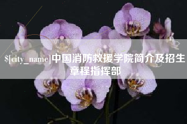 安岳中国消防救援学院简介及招生章程指挥部