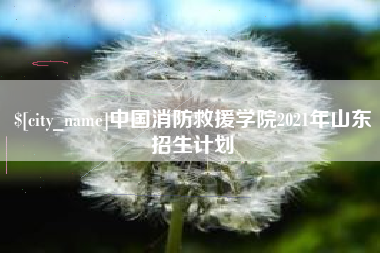 安岳中国消防救援学院2021年山东招生计划