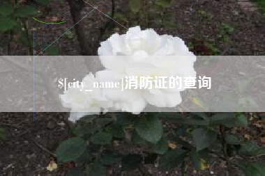 安岳消防证的查询