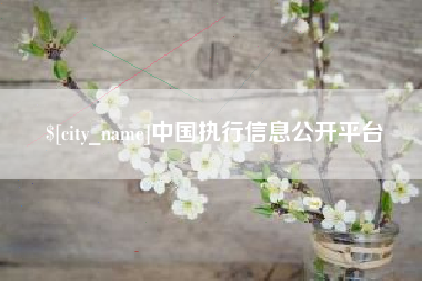 安岳中国执行信息公开平台