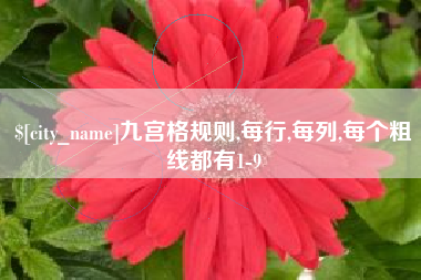 安岳九宫格规则,每行,每列,每个粗线都有1-9