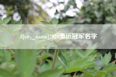 安岳2024奥运冠军名字