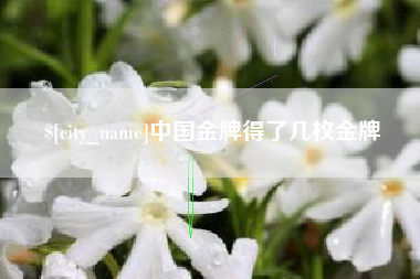 安岳中国金牌得了几枚金牌
