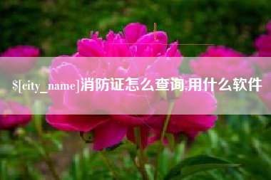 安岳消防证怎么查询,用什么软件