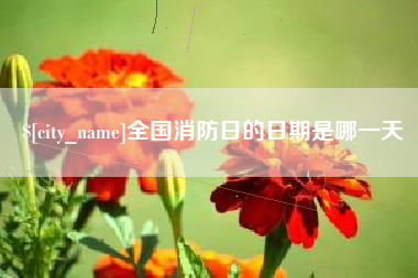 安岳全国消防日的日期是哪一天