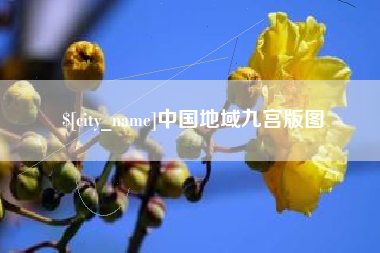 安岳中国地域九宫版图