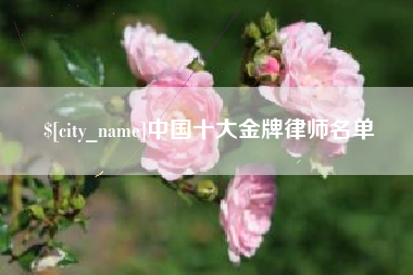 安岳中国十大金牌律师名单