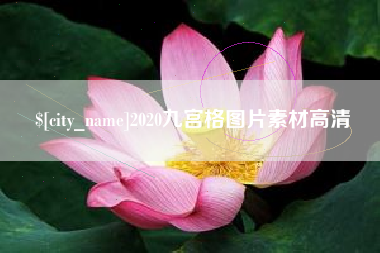 安岳2020九宫格图片素材高清
