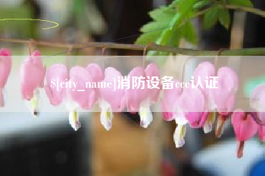 安岳消防设备ccc认证