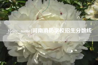 安岳河南消防学校招生分数线