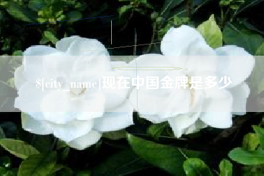 安岳现在中国金牌是多少