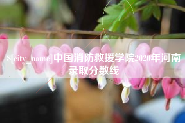 安岳中国消防救援学院2020年河南录取分数线