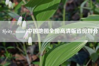 安岳中国地图全图高清版省份划分