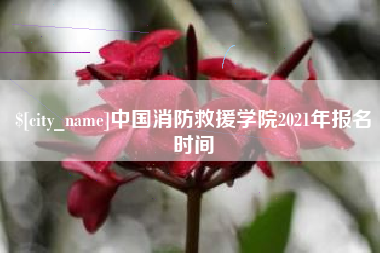 安岳中国消防救援学院2021年报名时间
