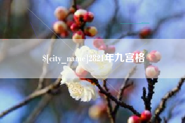 安岳2821年九宫格