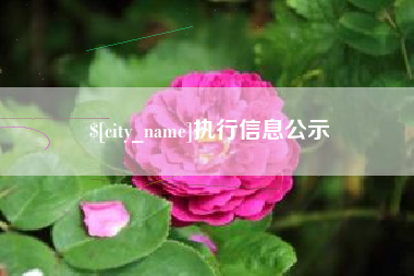 安岳执行信息公示