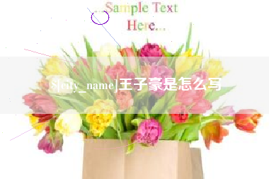 安岳王子豪是怎么写