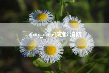 安岳成都 消防