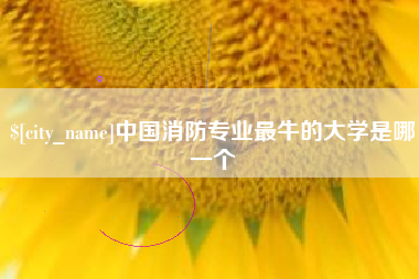 安岳中国消防专业最牛的大学是哪一个