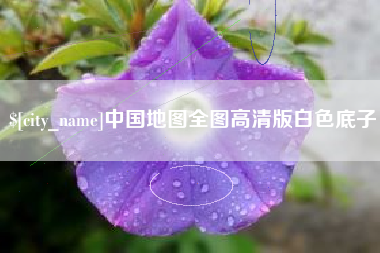 安岳中国地图全图高清版白色底子