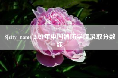 安岳2021年中国消防学院录取分数线