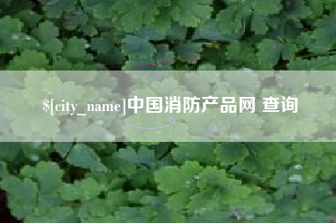 安岳中国消防产品网 查询