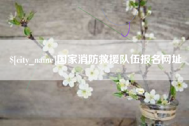 安岳国家消防救援队伍报名网址