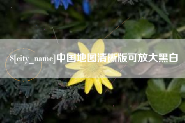 安岳中国地图清晰版可放大黑白