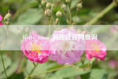 安岳消控证官网查询