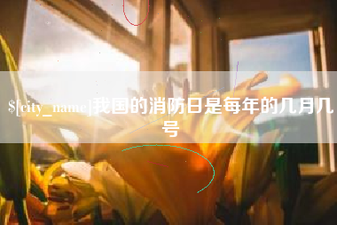 安岳我国的消防日是每年的几月几号