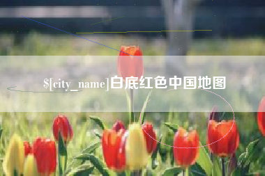 安岳白底红色中国地图