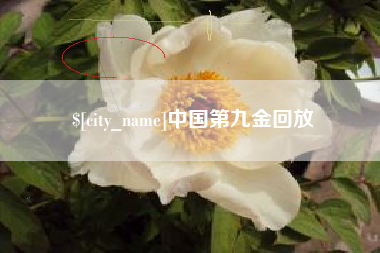 安岳中国第九金回放
