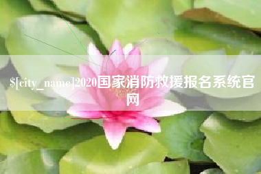 安岳2020国家消防救援报名系统官网