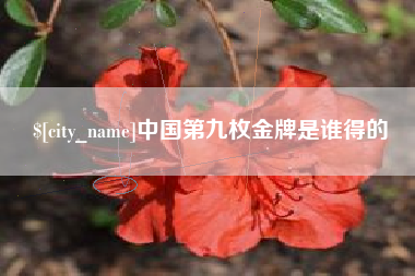 安岳中国第九枚金牌是谁得的