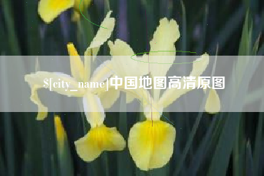 安岳中国地图高清原图