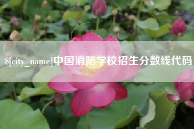 安岳中国消防学校招生分数线代码