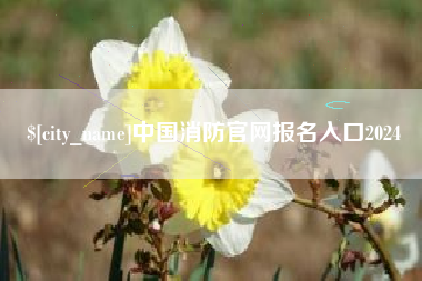 安岳中国消防官网报名入口2024