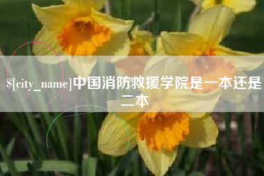 安岳中国消防救援学院是一本还是二本