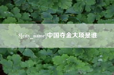 安岳中国夺金大项是谁